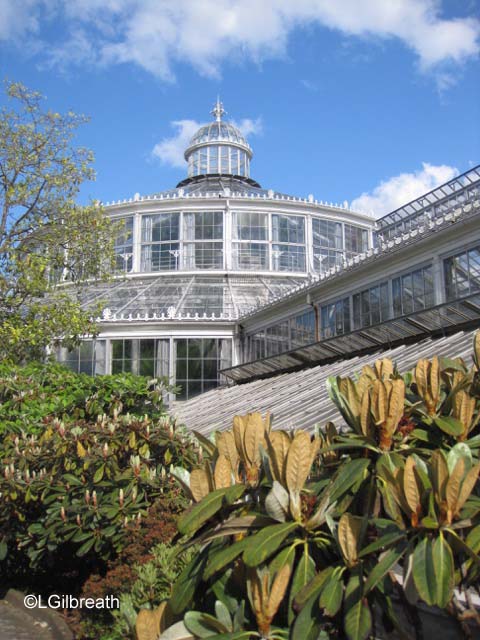 Copenhagen Botanical Garden