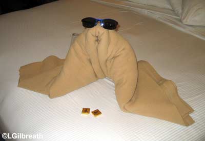 towel1.jpg