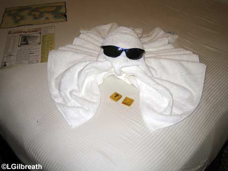 towel2.jpg