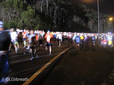 2013 Tinker Bell Half Marathon
