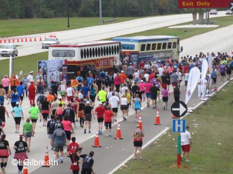 2014 Inaugural Dopey Challenge