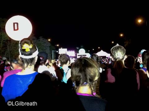 2015 Princess Half Marathon Weekend