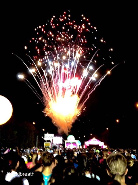 2015 Princess Half Marathon Weekend