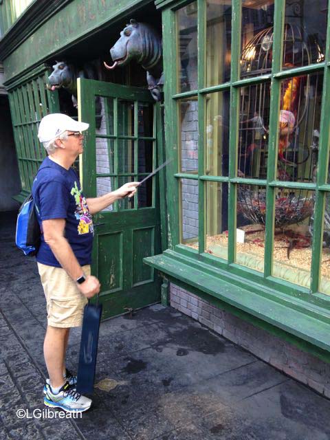 Universal Studios Diagon Alley interactive wand