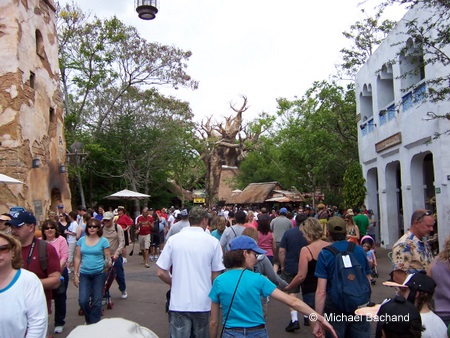 Walking towards Kilimanjaro Safari
