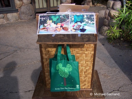Picnic in the Park pictures