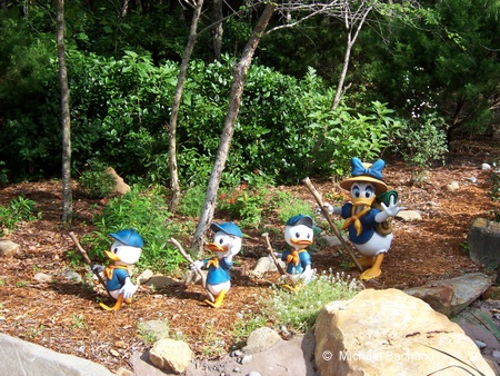 Daisy and the boys
