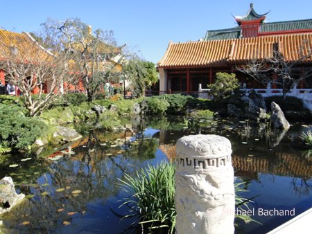 Garden and pond