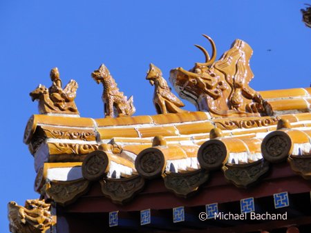 Dragons and animals