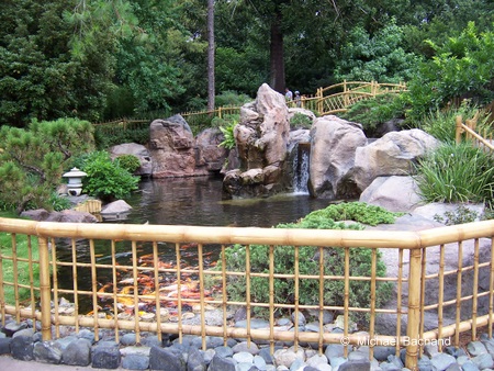 The beautiful pond