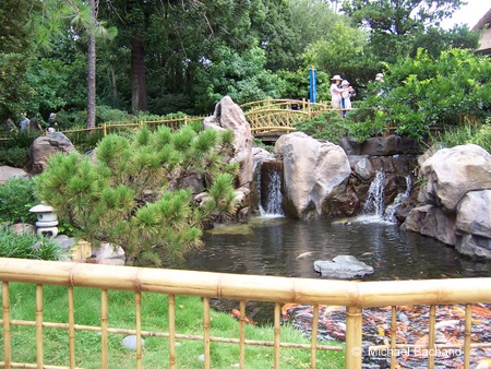 Pond, bridge and waterfalls