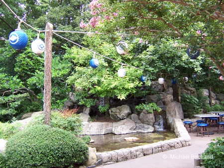 Small pond in gardens
