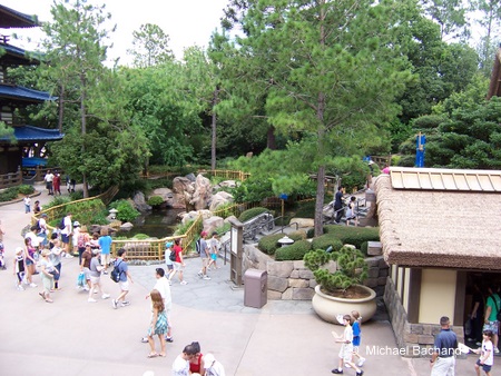 Looking down towards the fish pond