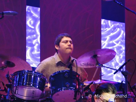 Los Lobos performs
