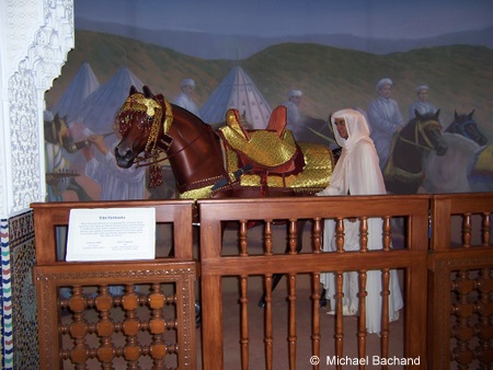 Inside the exhibit