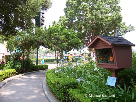 Looking out from the Butterfly and Herb Garden