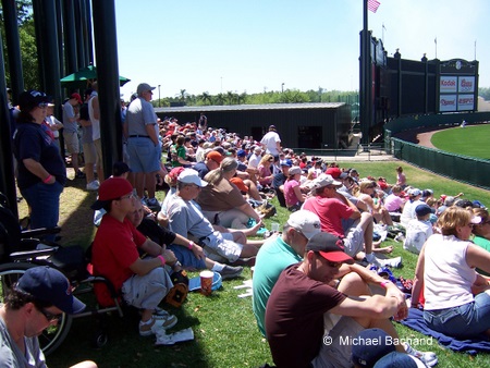Left Field Lawn Seating