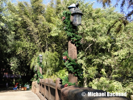 Animal Kingdom Decorations