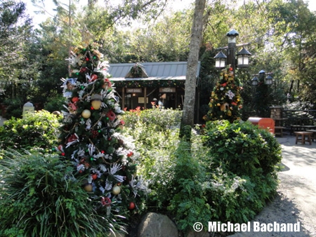 Animal Kingdom Decorations
