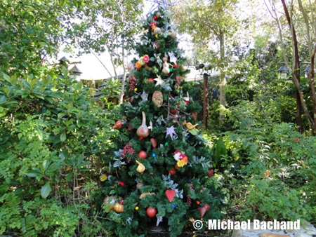 Animal Kingdom Decorations
