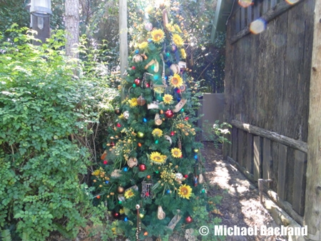 Animal Kingdom Decorations