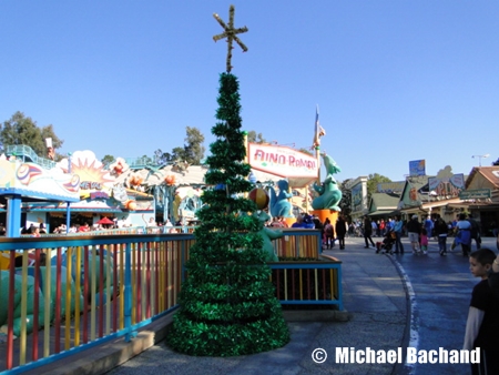 Animal Kingdom Decorations
