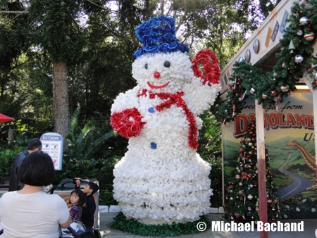 Animal Kingdom Decorations