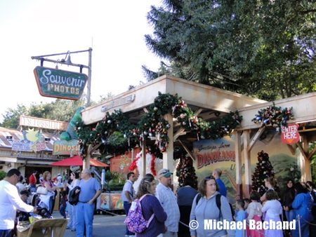 Animal Kingdom Decorations