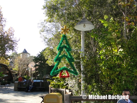 Animal Kingdom Decorations