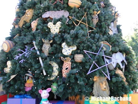 Animal Kingdom Decorations