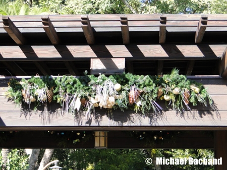 Animal Kingdom Decorations