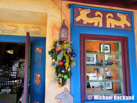 Animal Kingdom Decorations