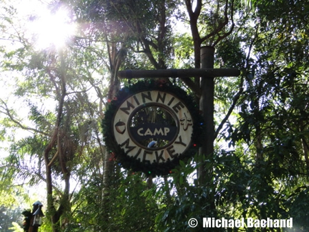 Animal Kingdom Decorations