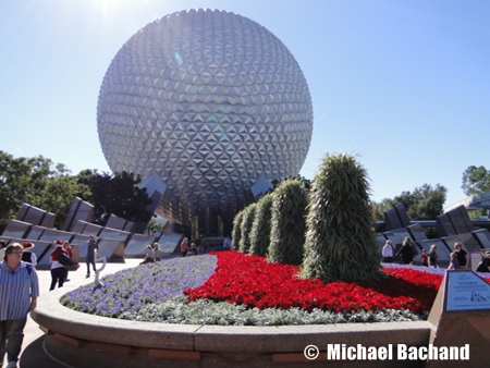 Flowers and Topiaries