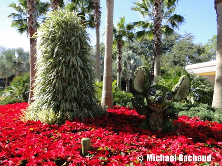 Flowers and Topiaries