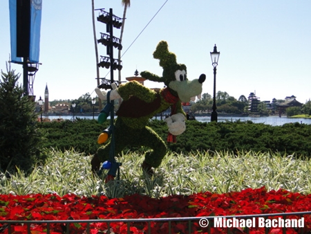 Flowers and Topiaries