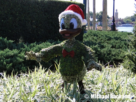 Flowers and Topiaries