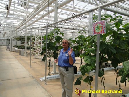 Research and Production Greenhouse