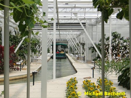 Research and Production Greenhouse