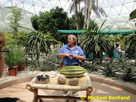 Research and Production Greenhouse