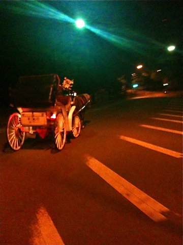 Carriage1.jpg