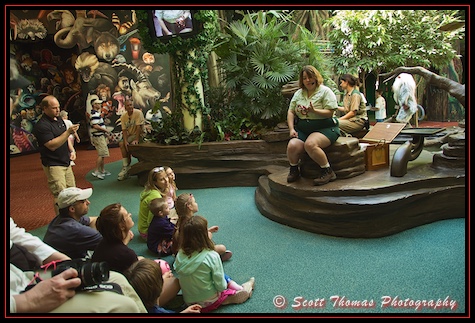 Cast member sharing information about a snake at Rafiki's Planet Watch in Disney's Animal Kingdom, Walt Disney World, Orlando, Florida