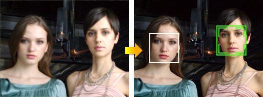 fuji_facedetection.jpg