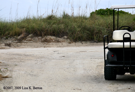 lkb_wonder_golfcart.jpg