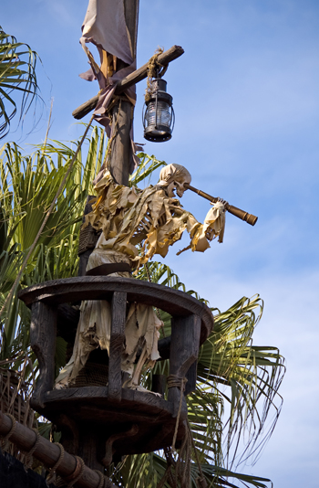 Pirate from Pirates of the Caribbean Sign