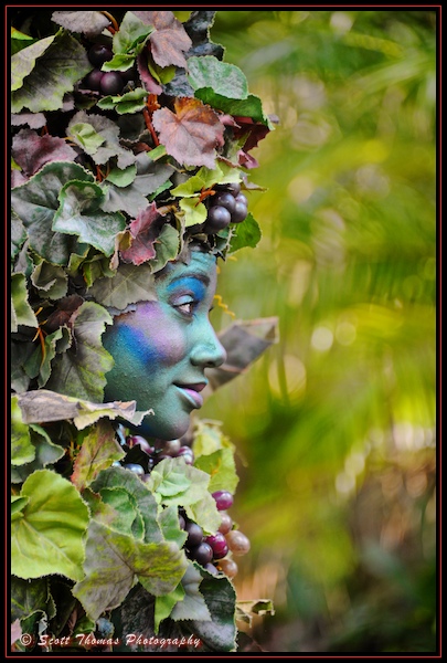 DiVine in profile as she walks around Discovery Island in Disney's Animal Kingdom, Orlando, Florida