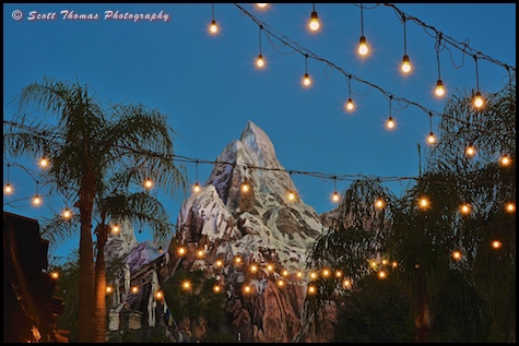 Blue hour at Expedition EVEREST in Disney's Animal Kingdom, Walt Disney World, Orlando, Florida