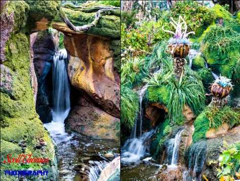 Waterfalls found along the Valley of Mo'ara in Pandora at Disney's Animal Kingdom, Walt Disney World, Orlando, Florida Waterfalls found along the Valley of Mo'ara in Pandora at Disney's Animal Kingdom, Walt Disney World, Orlando, Florida