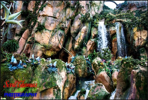 Waterfalls along the Flights of Passage queue in Pandora at Disney's Animal Kingdom, Walt Disney World, Orlando, Florida Waterfalls along the Flights of Passage queue in Pandora at Disney's Animal Kingdom, Walt Disney World, Orlando, Florida
