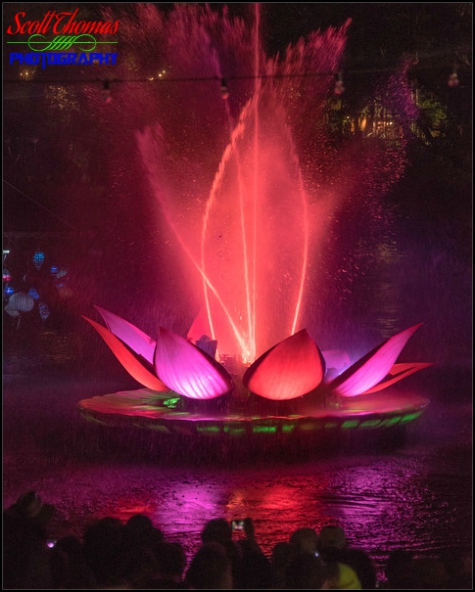 Rivers of Light show at Disney's Animal Kingdom, Walt Disney World, Orlando, Florida Rivers of Light show at Disney's Animal Kingdom, Walt Disney World, Orlando, Florida